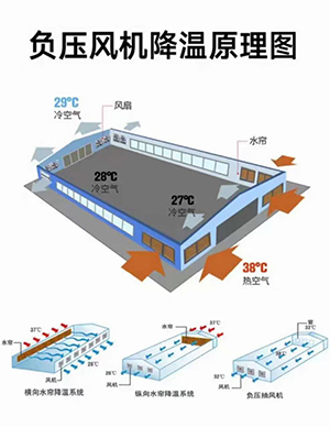 玻璃钢负压风机(2).jpg