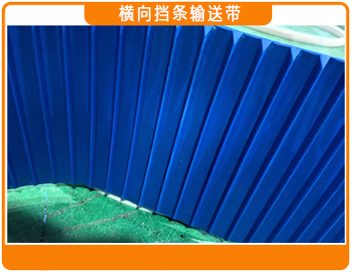 1767494109496474.jpg 横向挡条输送带1.jpg