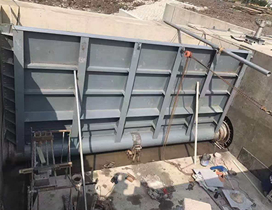 1769500229924153.jpg 19.jpg