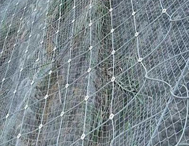 1769500610366927.jpg 19.jpg