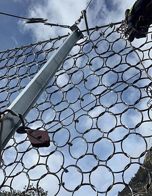 1769500624919735.jpg 6.jpg