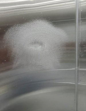 不锈钢修复  (1).jpg